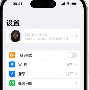 浑江appleID维修服务iPhone设置中Apple ID显示为灰色无法使用