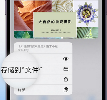 浑江apple维修中心分享iPhone文件应用中存储和找到下载文件