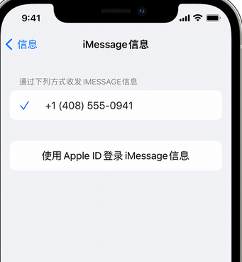 浑江apple维修iPhone上无法正常发送iMessage信息