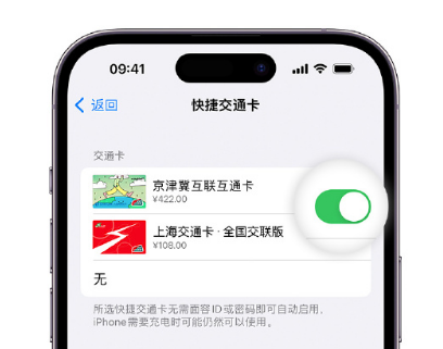 浑江apple维修点分享iPhone上更换Apple Pay快捷交通卡手绘卡面 