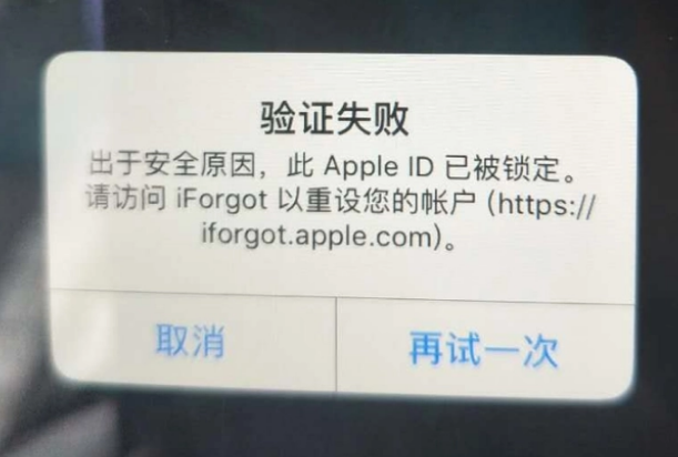 浑江iPhone维修分享iPhone上正常登录或使用AppleID怎么办 