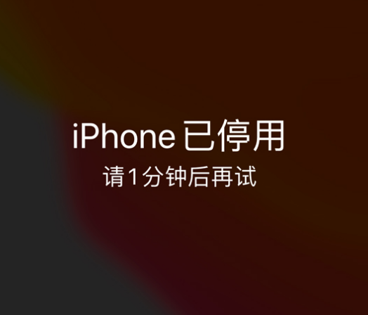 浑江苹果手机维修分享:iPhone 显示“不可用”或“已停用”怎么办？还能保留数据吗？ 