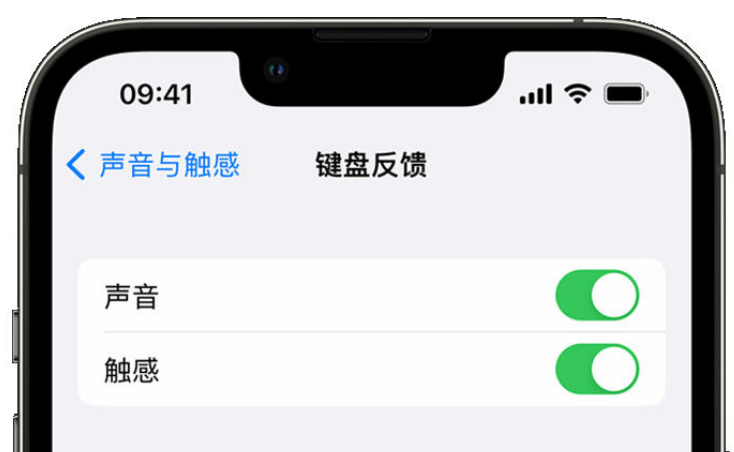 浑江苹果手机维修分享iPhone 14触感键盘使用方法 