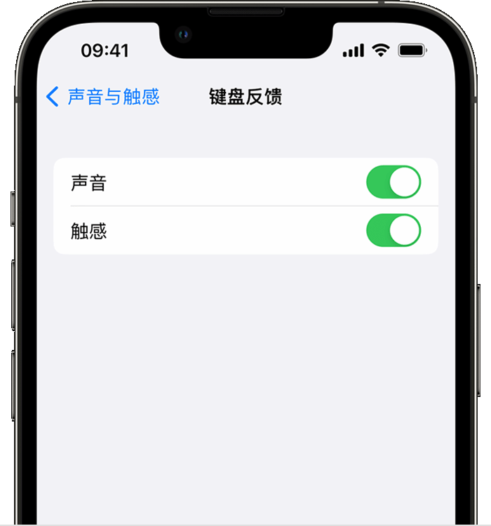 浑江苹果14维修店分享如何在 iPhone 14 机型中使用触感键盘 