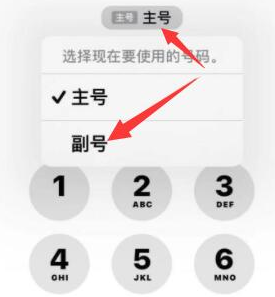 浑江苹果14维修店分享iPhone 14 Pro Max使用副卡打电话的方法 