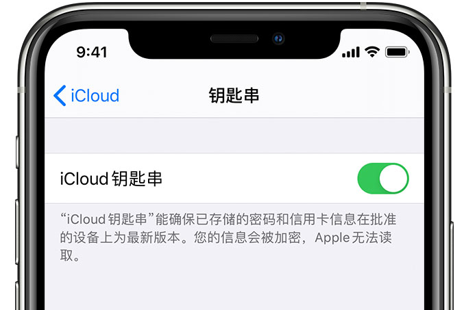 浑江苹果手机维修分享在 iPhone 上开启 iCloud 钥匙串之后会储存哪些信息 