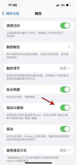 浑江苹果手机维修分享iPhone手机如何设置摇一摇删除文字 