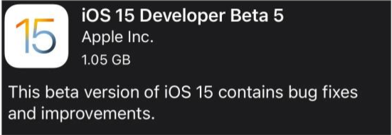 浑江苹果手机维修分享如何升级到iOS15.0 beta5 