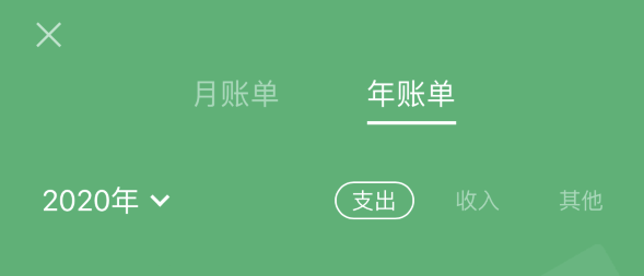 浑江苹果手机维修分享如何在 iPhone 上查看支付宝和微信年支出账单 