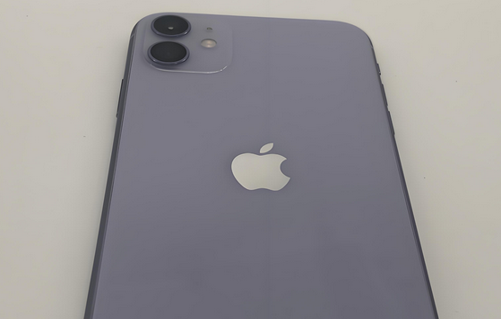 浑江苹果11系统维修分享iPhone11手机系统崩溃无法开机如何解决